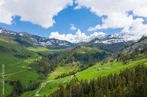 The green countryside and some meadows in the mountains in Europe, in France, towards Beaufort, in the Alps, in summer, on a sunny day.
