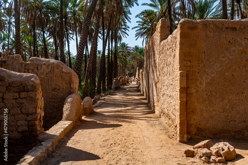 Oasis of Al Ula photo