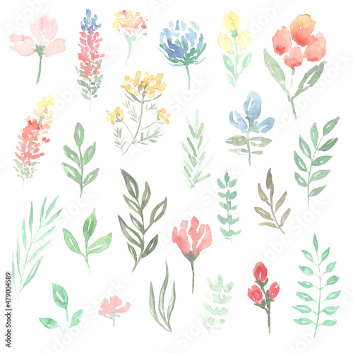 watercolor drawing of different flowers 