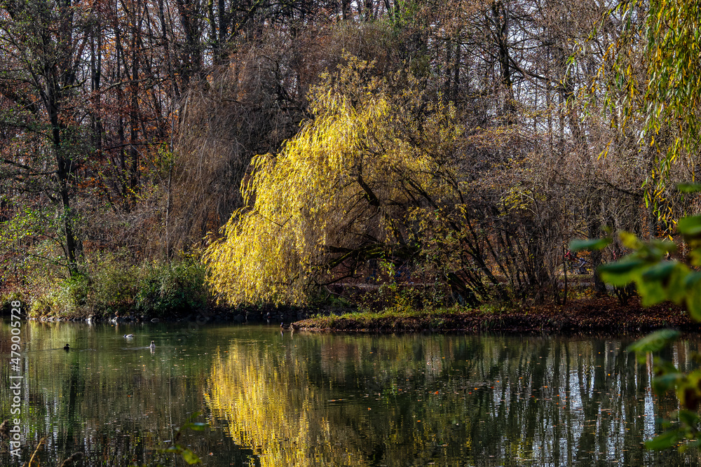 Golden autumn view in famous Munich relax place - Englischer Garten. Munich, Bavaria, Germany Golden autumn view in famous Munich relax place - Englischer Garten. Munich, Bavaria, Germany