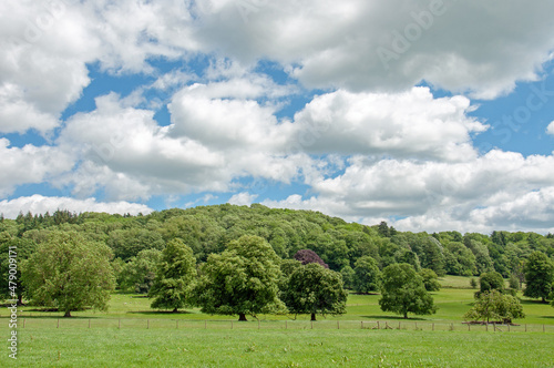 Summertime in the hills.