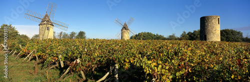 Windmills of Calon set in autumnal vineyard below a blue sky, Montagne, near Saint Emilion, Nouvelle Aquitaine, France photo