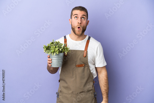 Gardener caucasian man holding a plant isolated on yellow background looking up and with surprised expression