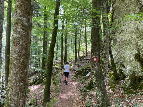 Marked tourist-hiking trail in Golubinjak forest park or Cave trail in Gorski kotar - Sleme, Croatia (Markirana turističko-planinarska staza u park šumi Golubinjak ili Staza spilja u Gorskom kotaru)