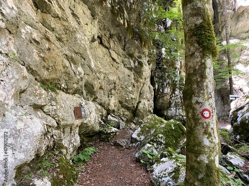 Marked tourist-hiking trail in Golubinjak forest park or Cave trail in Gorski kotar - Sleme, Croatia (Markirana turističko-planinarska staza u park šumi Golubinjak ili Staza spilja u Gorskom kotaru) photo