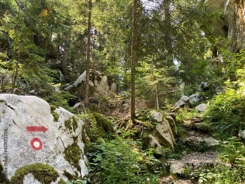 Marked tourist-hiking trail in Golubinjak forest park or Cave trail in Gorski kotar - Sleme, Croatia (Markirana turističko-planinarska staza u park šumi Golubinjak ili Staza spilja u Gorskom kotaru) photo