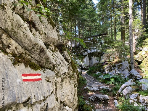 Marked tourist-hiking trail in Golubinjak forest park or Cave trail in Gorski kotar - Sleme, Croatia (Markirana turističko-planinarska staza u park šumi Golubinjak ili Staza spilja u Gorskom kotaru) photo