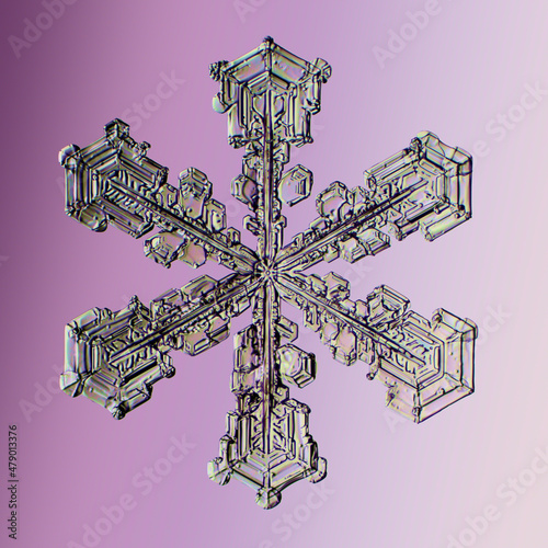 Real snowflake