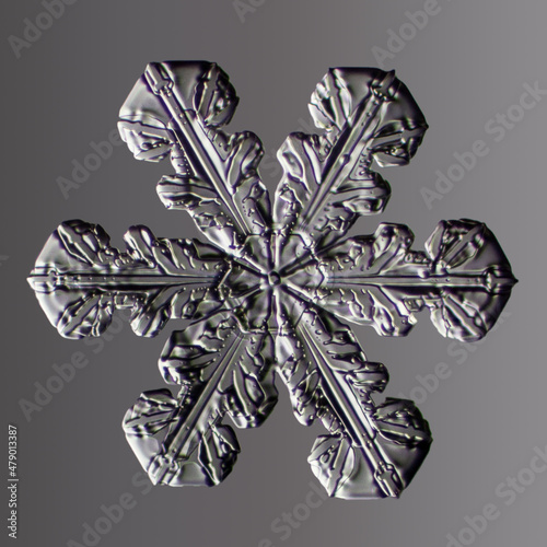 Real snowflake