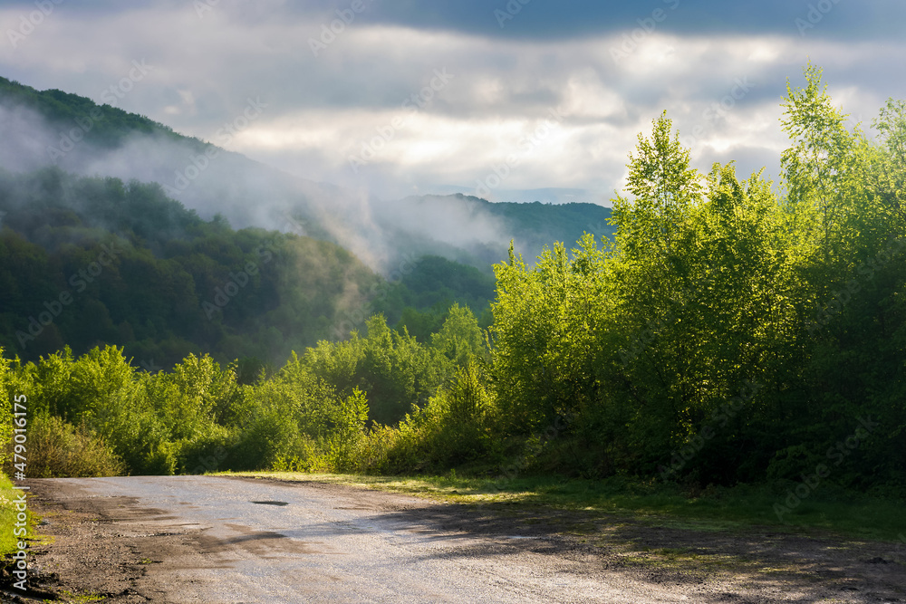 rural road in mountains. beautiful nature scenery on a foggy morning. trees on the meadow above the valley in mist beneath a sky with clouds