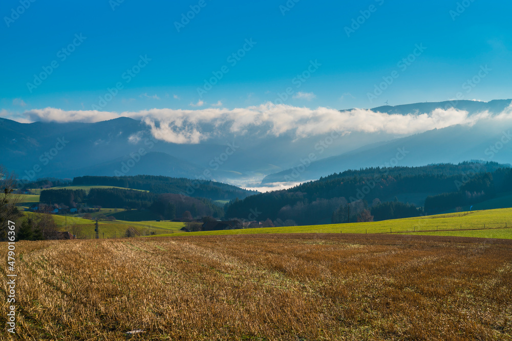 Germany, Black forest panorama nature landscape of foggy clouds in valley on sunny day in tourism region perfect for hiking