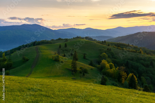 carpathian mountain landscape at dusk. idyllic nature scenery in evening light. trees on the grassy hills and meadows rolling in to the distant rural valley at the foot of borzhava ridge