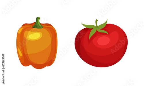 Ripe Tomato and Bell Pepper Vegetable as Healthy Raw Food and Garden Cultivar Closeup Vector Set