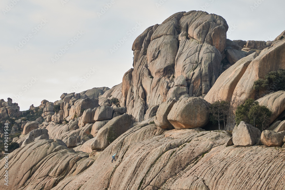 Griffon vultures reproducing in La Pedriza. Sierra de Guadarrama National Park. Madrid's community. Spain Griffon vultures reproducing in La Pedriza. Sierra de Guadarrama National Park. Madrid's community. Spain