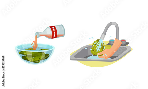 Washing Broccoli with Tap Water and Pouring Vinegar in Bowl with Greenery as Vegetable Cooking Process Vector Set