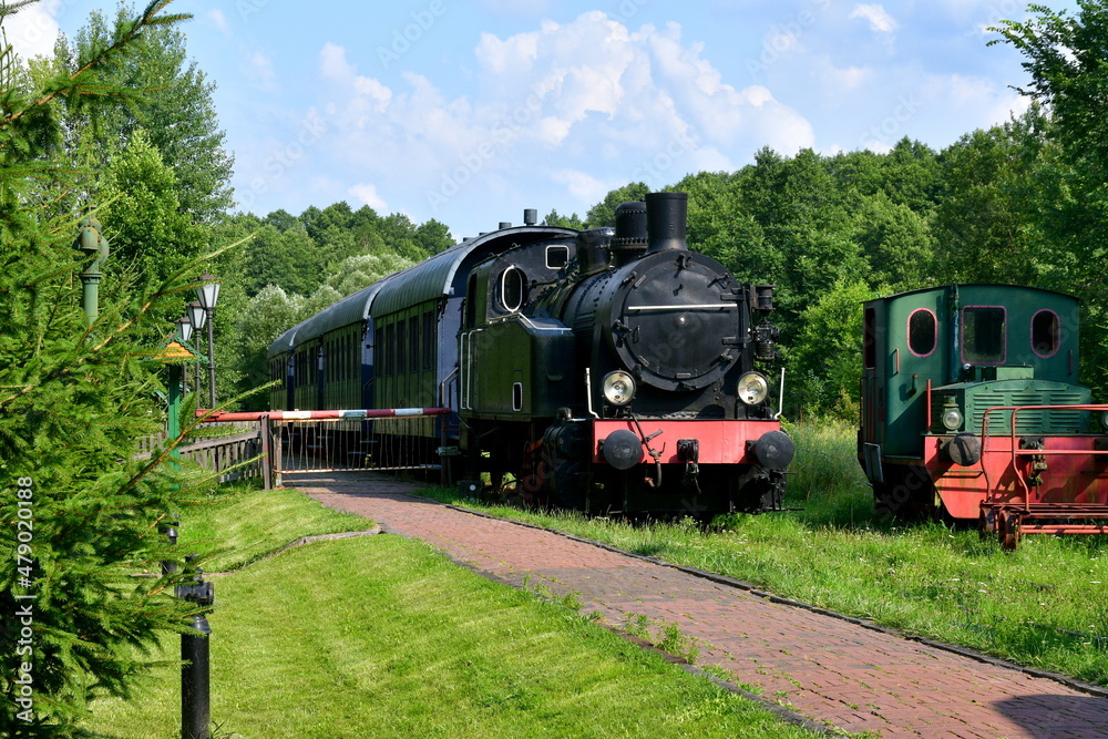 Obraz premium A view of a well maintained public park full of shrubs, trees, and grass, with a train station located nearby and an old traditional steam locomotive waiting for departure seen on a sunny summer day