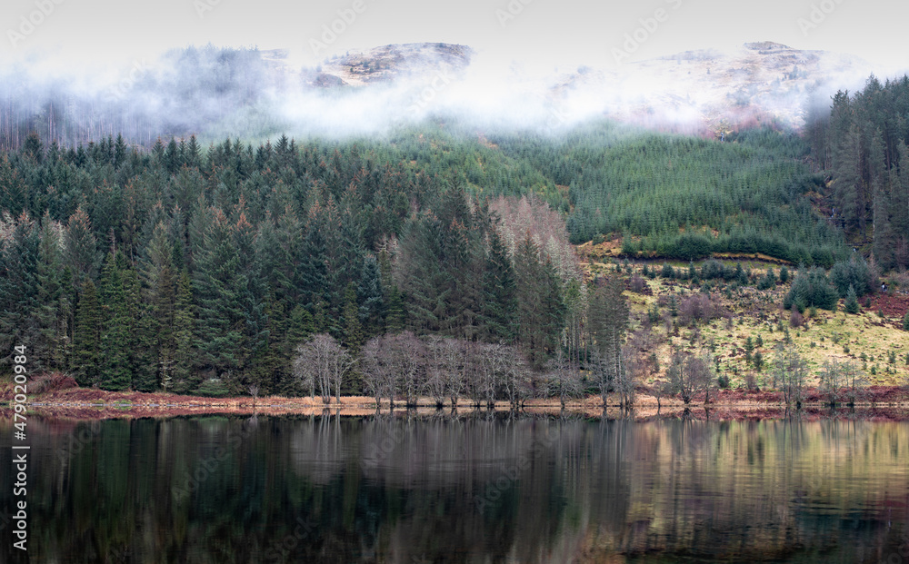 Tree reflections on Scottish Loch Tree reflections on Scottish Loch