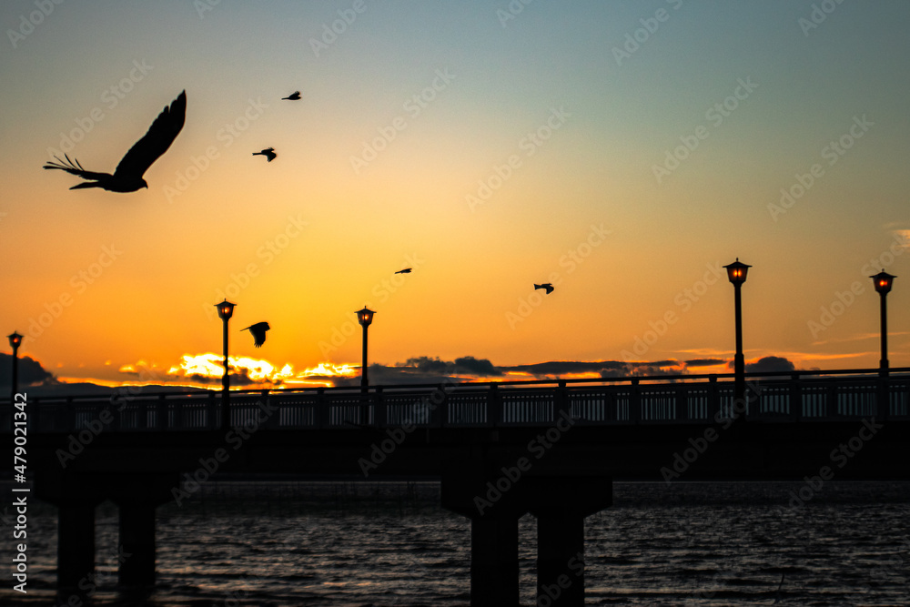 sunset on the sea with birds