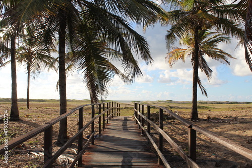 The path to the beach