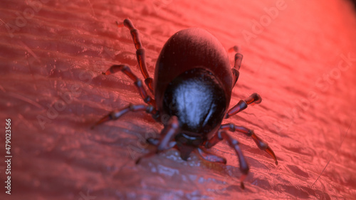 3d rendered illustration of a tick biting into human skin