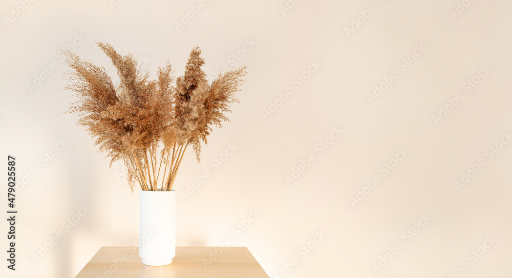 Beautiful natural golden pampas grass or Cortaderia selloana in a ceramic vase agains on beige background in interior