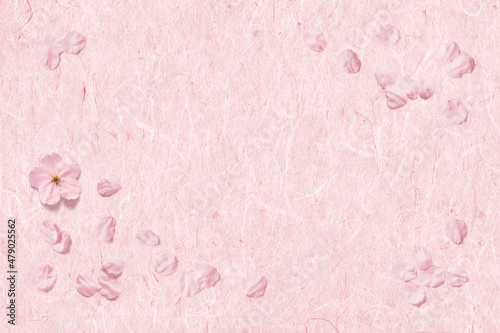 さくら色の手漉き和紙に舞い散る、桜の花びら © AGRX