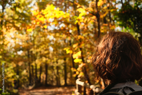 Percorso nel bosco photo