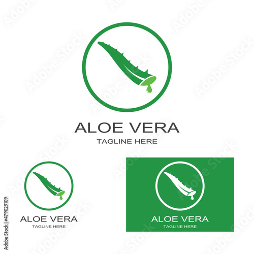 Aloe vera icon logo vector illustration template design