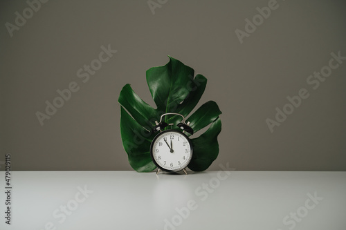 Black alarm clock and tropical palm leaf