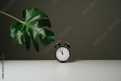 Black clock and green leaf standing on white table