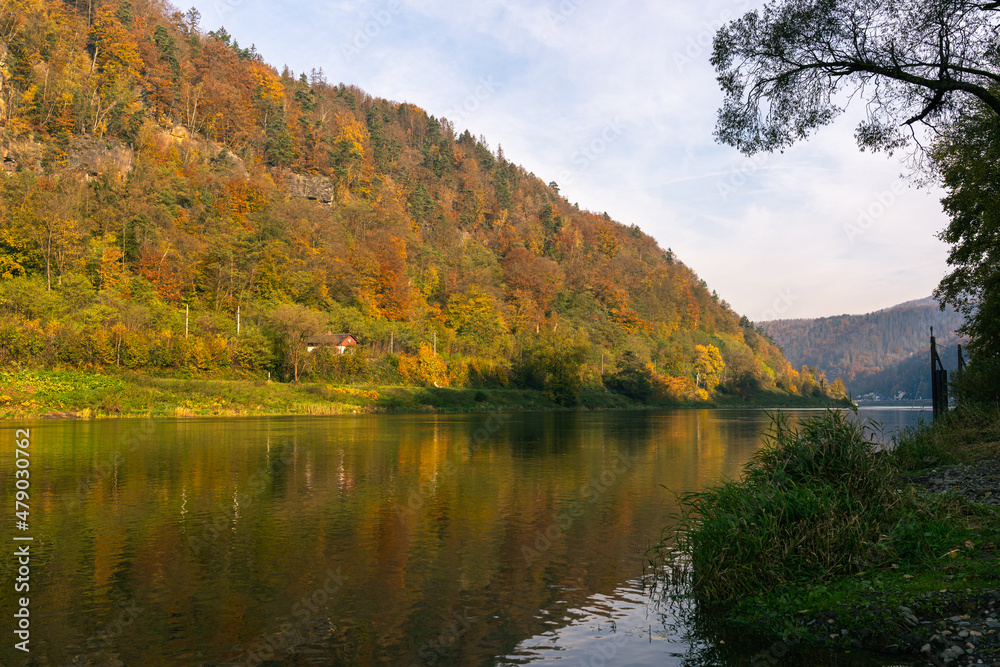 Low angle view of Elbe Sandstone Mountains national park, Czech Republic. Canyon of river Labe surrounded by sandstone rock formations in autumn. Colorful autumnal trees on sunny day