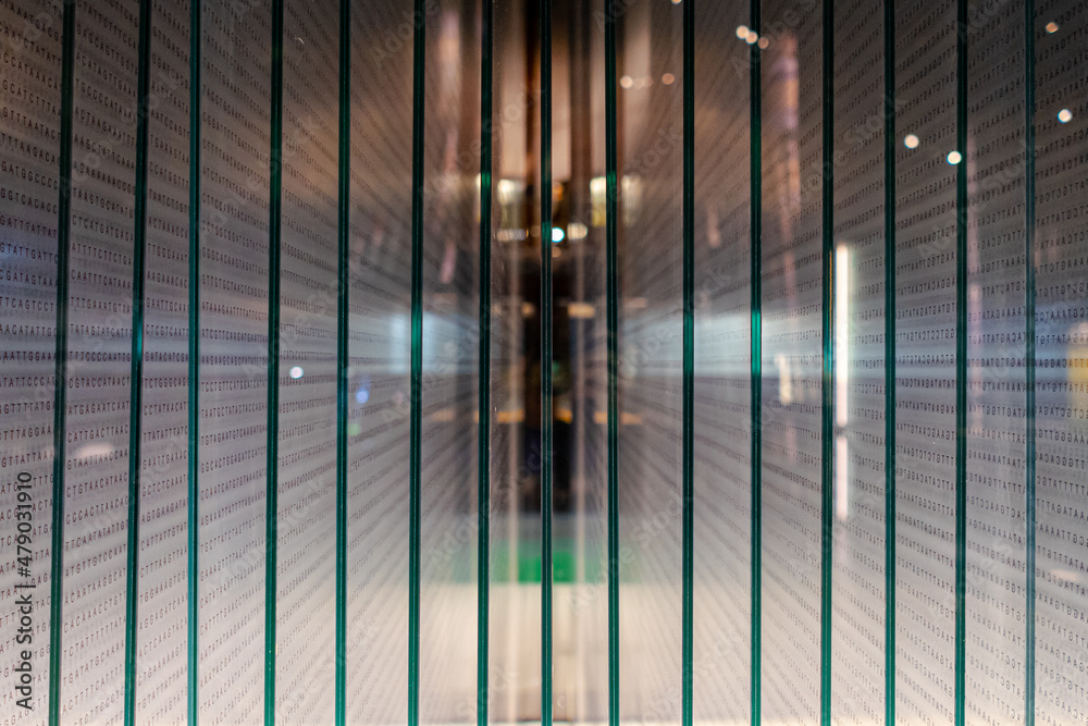 Glass fragments placed vertically and full of letters written on them giving a sensation of dizzying depth Glass fragments placed vertically and full of letters written on them giving a sensation of dizzying depth