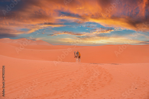 Camel standing on sand dunes in sahara desert against dramatic sky during dusk, Caravan camel standing in desert