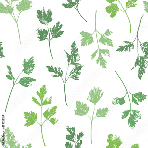 Parsley herb grunge pattern. Parsley  celery abstract herbal plant retro background. Gardening  culinary and aromatherapy.