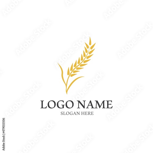 Wheat logo vector icon illustration