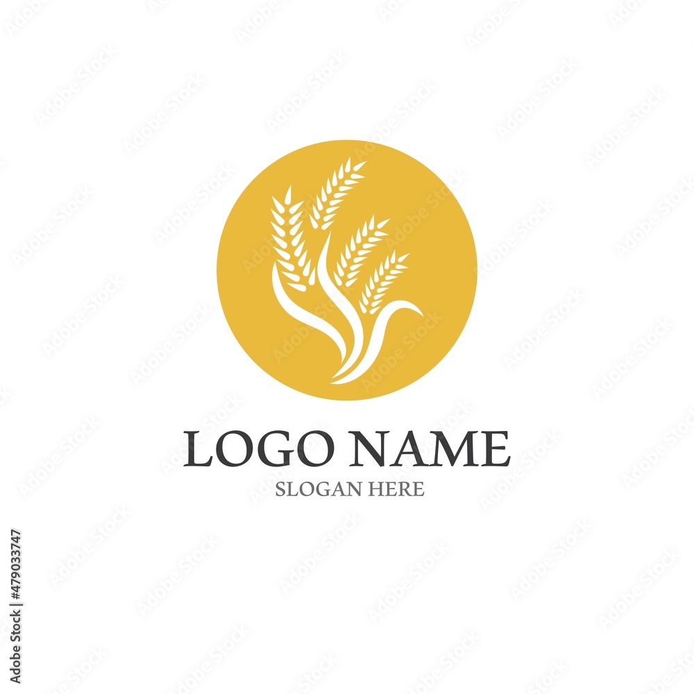 Fototapeta premium Wheat logo vector icon illustration