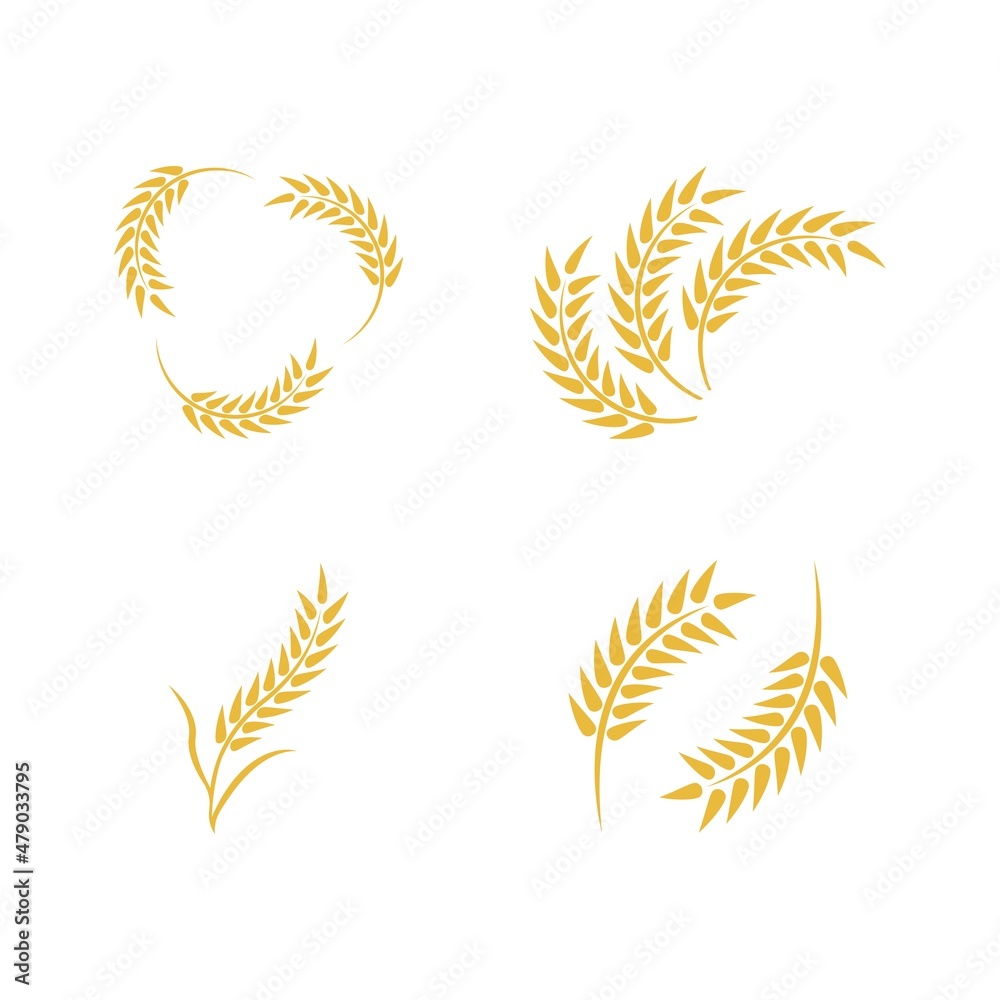 Wheat logo vector icon illustration Wheat logo vector icon illustration