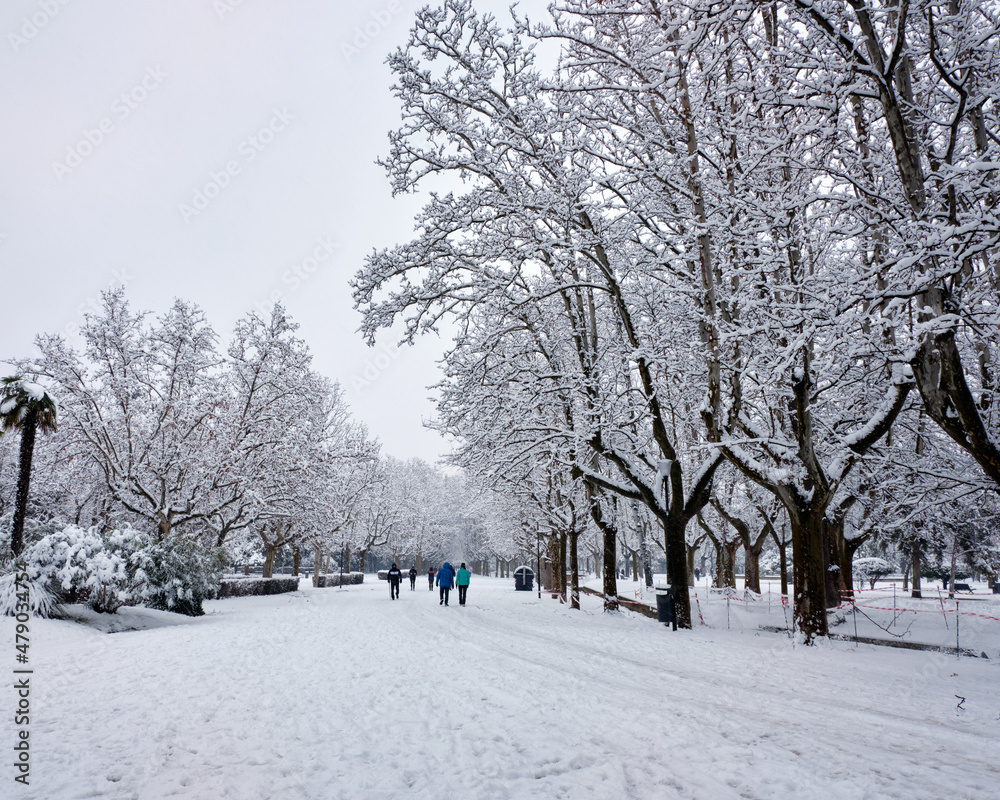 Snow storm that leaves landscapes of snow, snow covered trees Snow storm that leaves landscapes of snow, snow covered trees