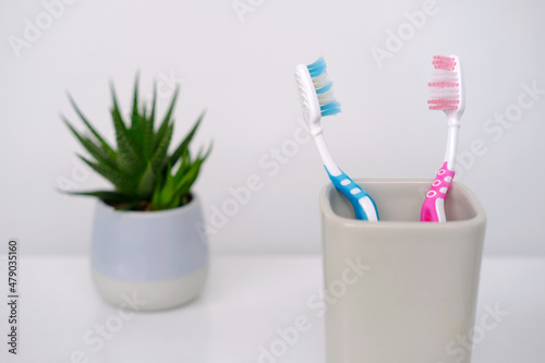 close-up of toothbrushes in a glass  indoor flower  concept of daily routine  oral hygiene  symbol of family relations