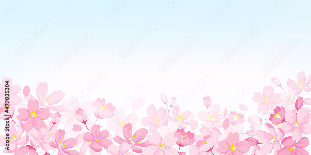 桜の花イラスト背景素材　青空の背景にコピースペース