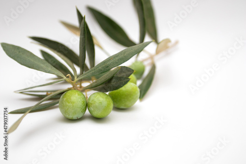 Green olives branch with leaves on white background