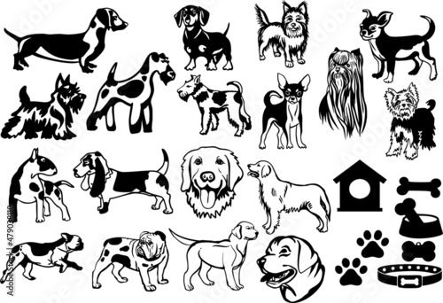 Cute simple dogs portraits colorful vector
