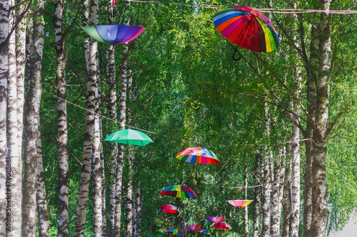 Rainbow-colored umbrellas hang on trees along the pedestrian path in the park in summer