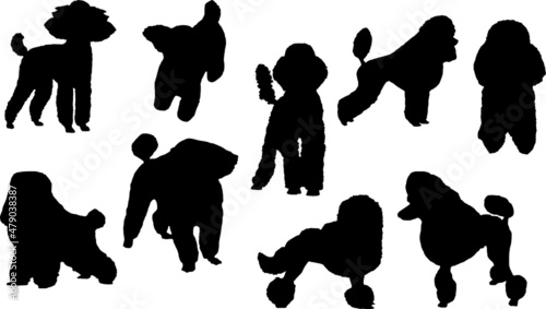 Poodle Dog Silhouette Bundle SVG