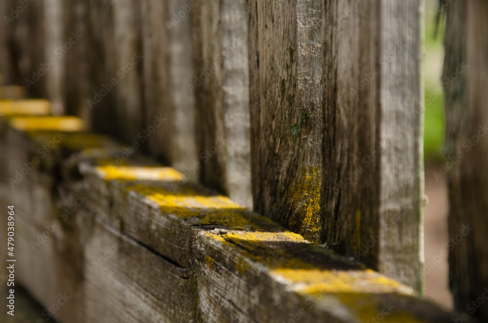 Abstract background. Old wooden fence. The sun's rays break through the wooden beams. Moss surface texture on wood with copy space. Abstract background. Old wooden fence. The sun's rays break through the wooden beams. Moss surface texture on wood with copy space.