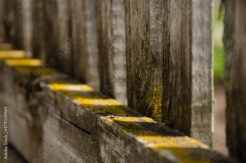Wallpaper Mural Abstract background. Old wooden fence. The sun's rays break through the wooden beams. Moss surface texture on wood with copy space. Torontodigital.ca
