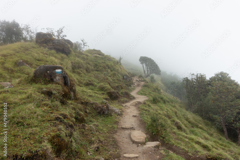 foggy himalayan trail foggy himalayan trail