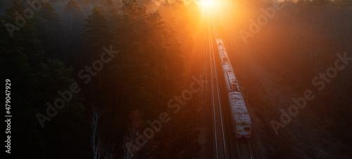 A freight train loaded with resources delivers cargo through the forest.