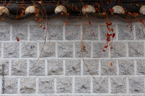 wall
