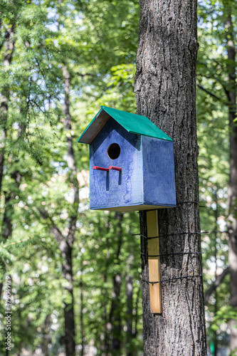 New blue and green bird and squirrel house from plywood is hanging on a pine tree in a park in summer. Vertical